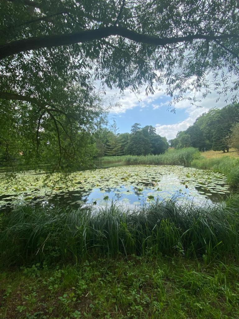 Langensteiner Idyll公寓 外观 照片